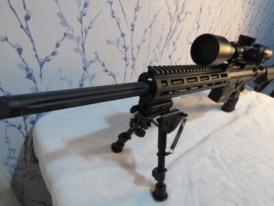 Smith & WessonM M&P Semi-Auto .22 Rifle