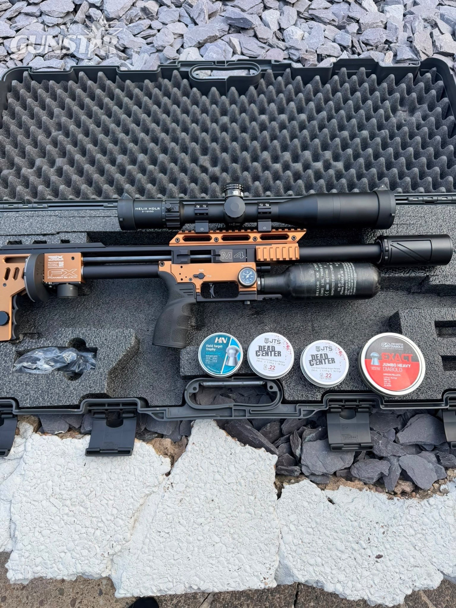 FX Airguns Fx .22 in 