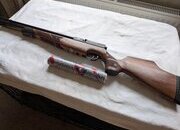 AIR ARMS , &  WEIHRAUCH AIR ARMS S510. &  WEIHRAUCH HW100 .22
