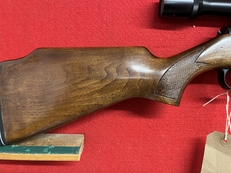 Diana Model 38 .22