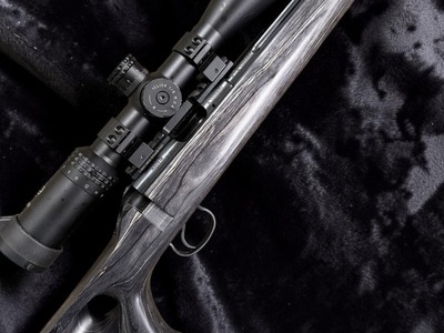 CZ 455 17 hmr 455 Bolt Action .17 Hornady Magnum Rimfire (.17 HMR) Rifle