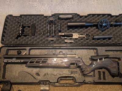 Daystate Black Wolf .177