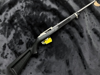 Ruger 10/22 Semi-Auto .22 Long Rifle (.22 LR) Rifle