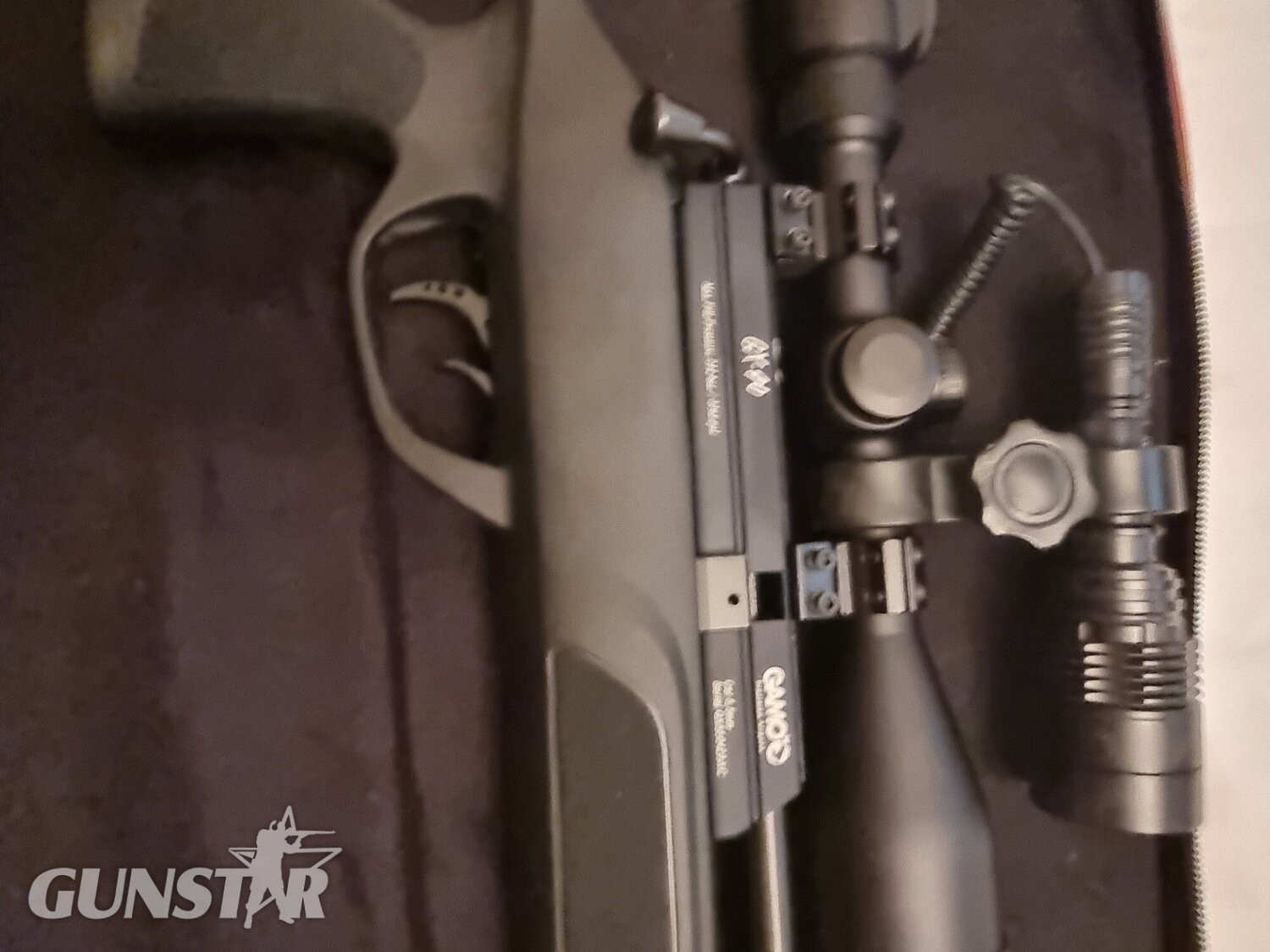 Gamo GX40 .22 calibre  .22 in 