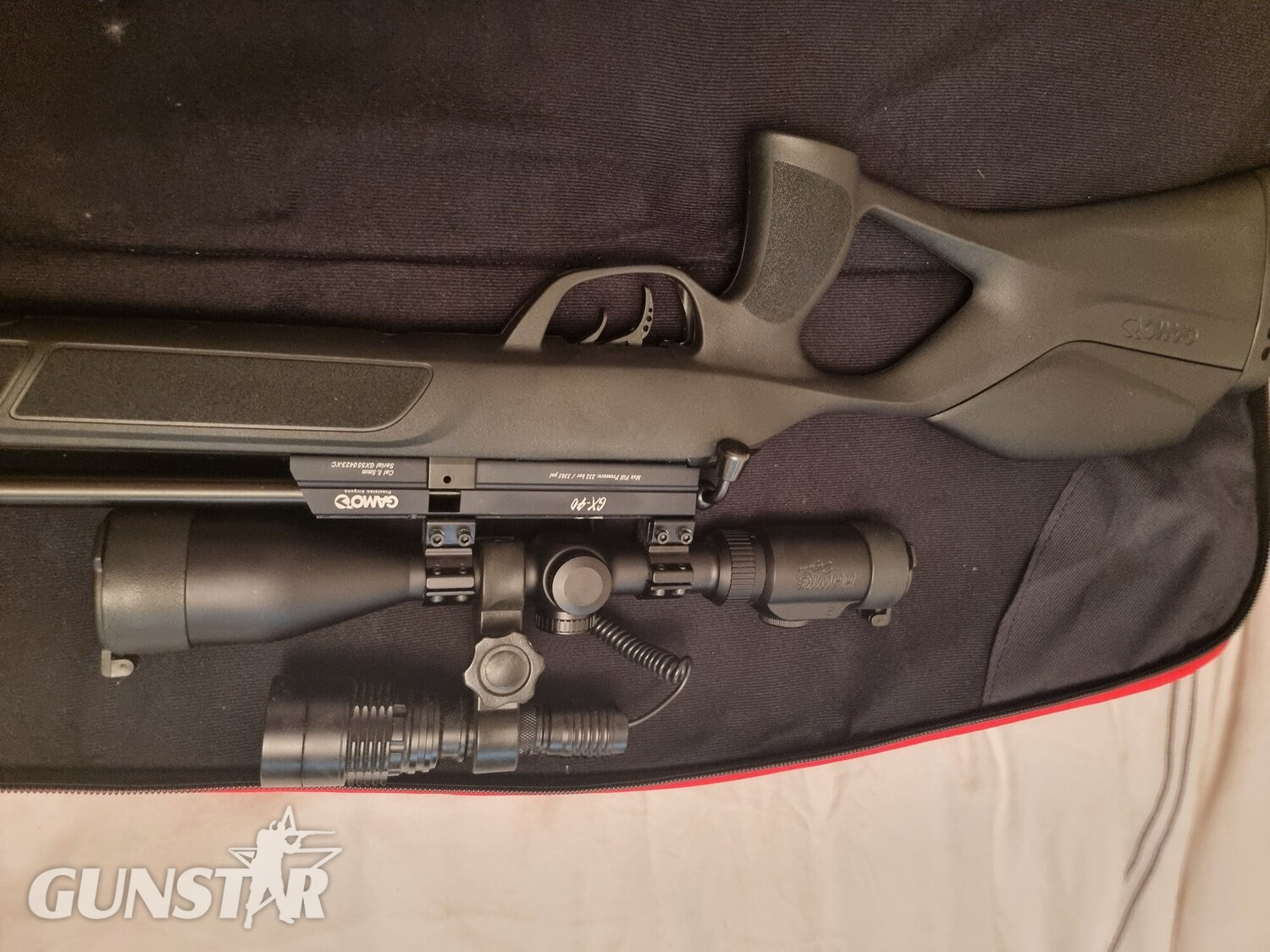Gamo GX40 .22 calibre  .22