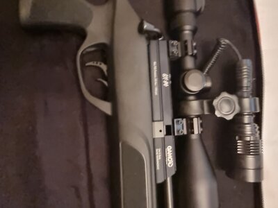 Gamo GX40 .22 calibre  .22