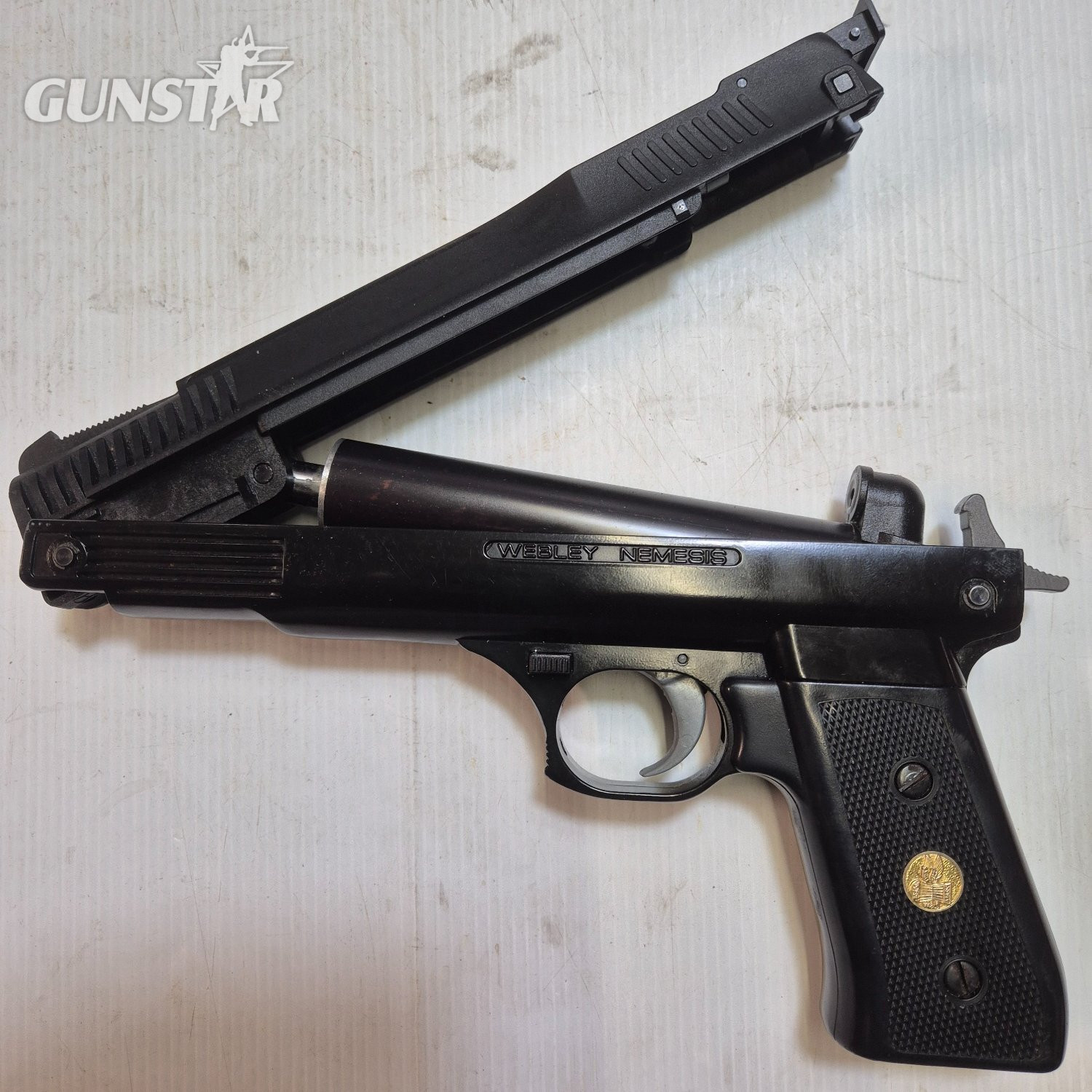 Webley & Scott Nemesis .22 in 