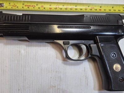 Webley & Scott Nemesis .22