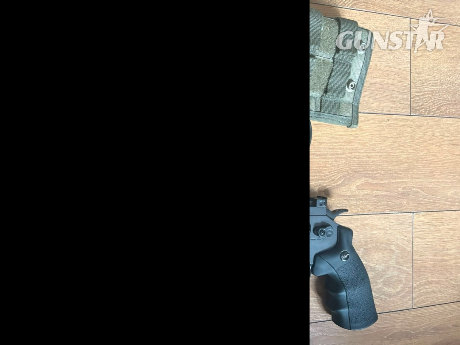 ASG Dan Wesson  .177