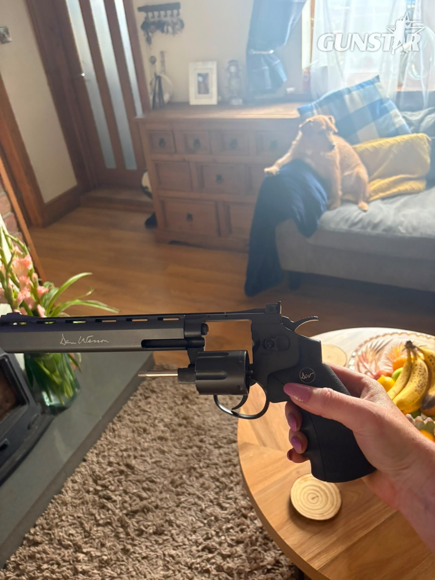  ASG Dan Wesson  .177