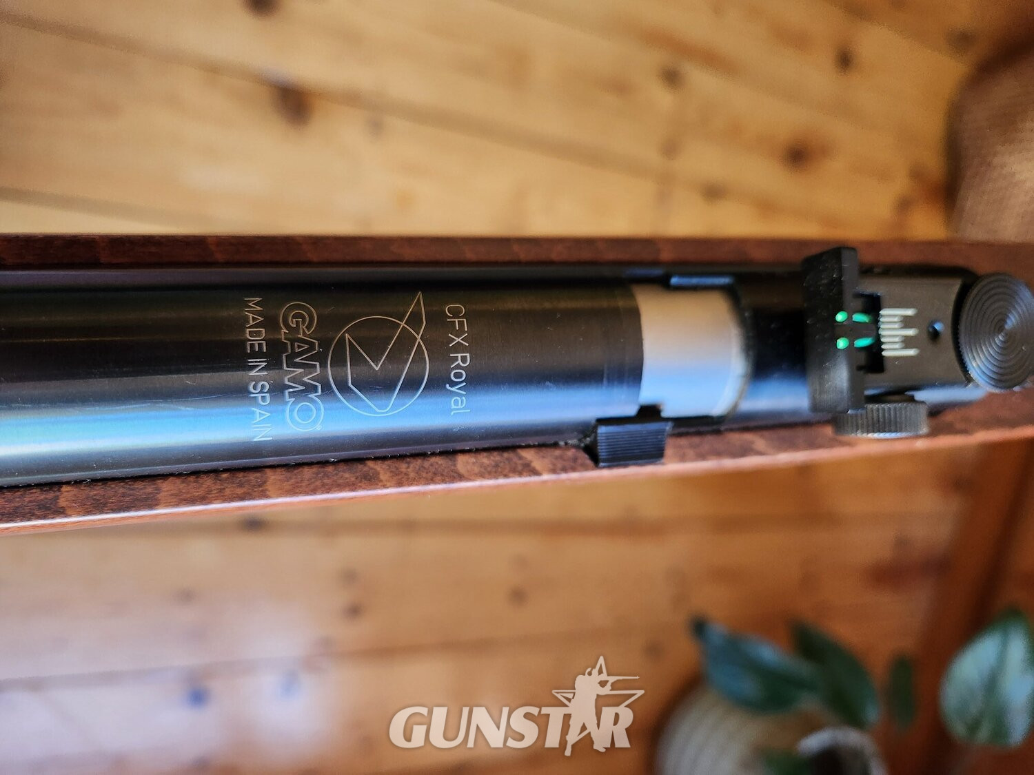 Gamo CFX Royal  .22 - {CATEGORY} in 