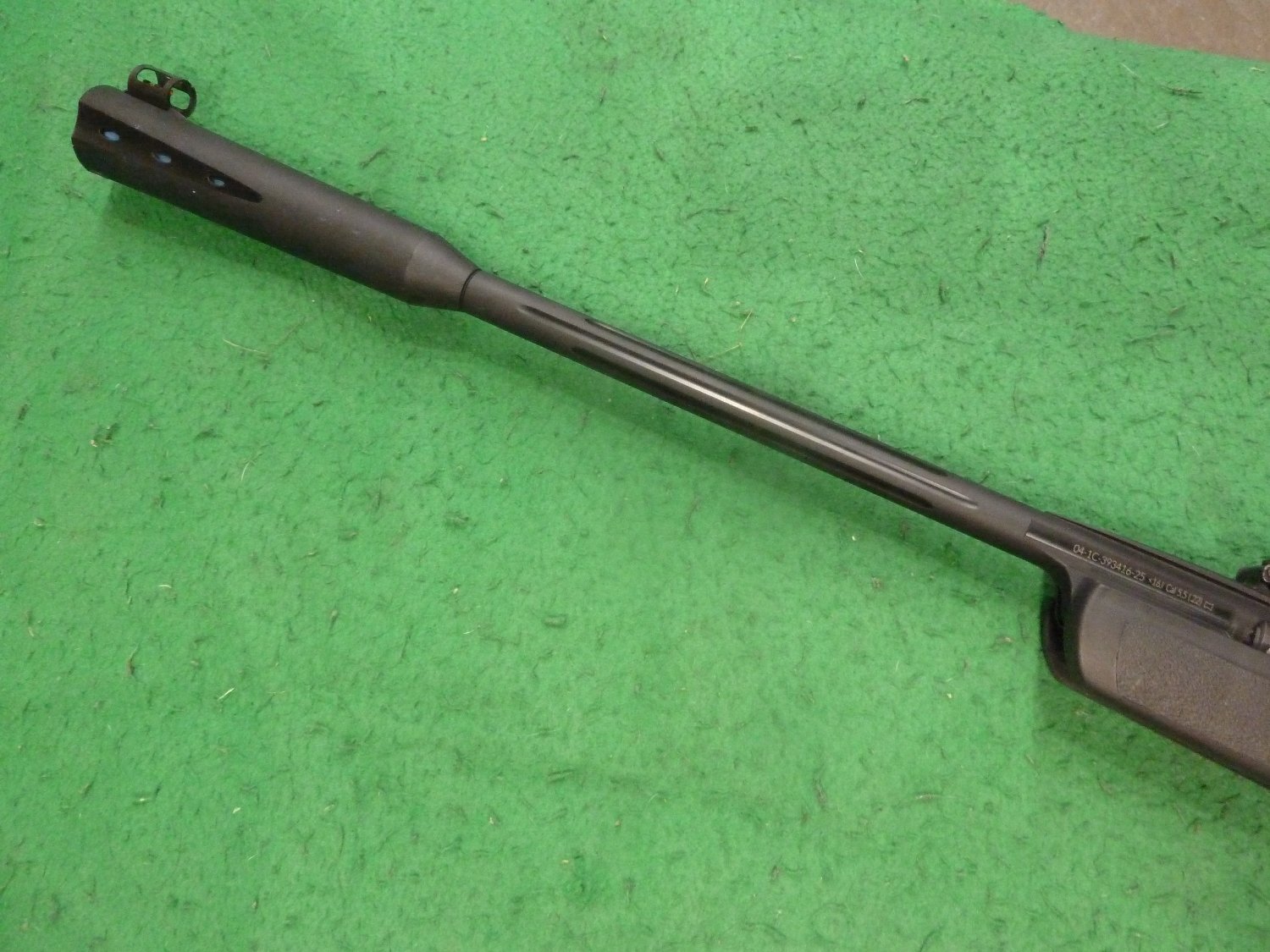 Gamo Whisper Sting .22