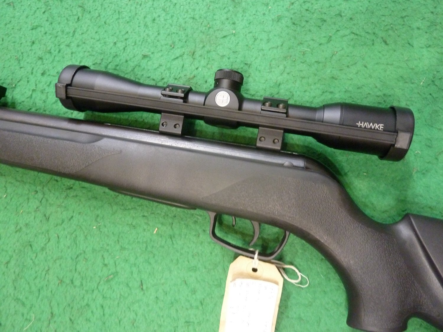  Gamo Whisper Sting .22