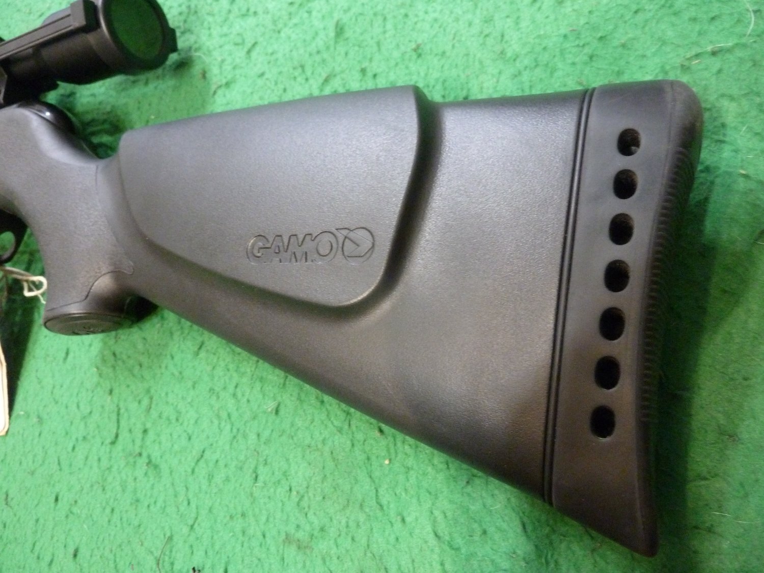 Gamo Whisper Sting .22 - {CATEGORY} in 