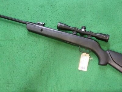 Gamo Whisper Sting .22