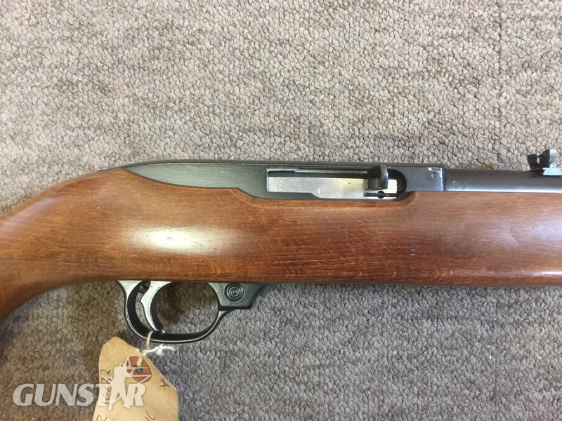 Ruger 10/22 Semi-Auto .22 Rifle