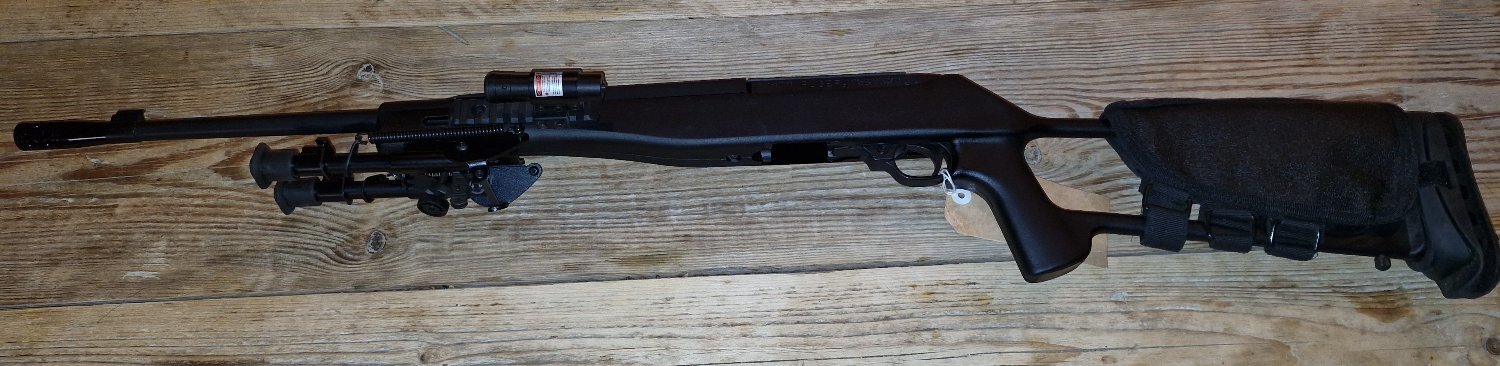 Ruger 10/22 Semi-Auto .22 Long Rifle (.22 LR) Rifle