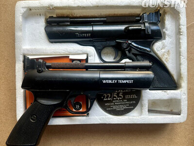 Webley & Scott Tempest .22