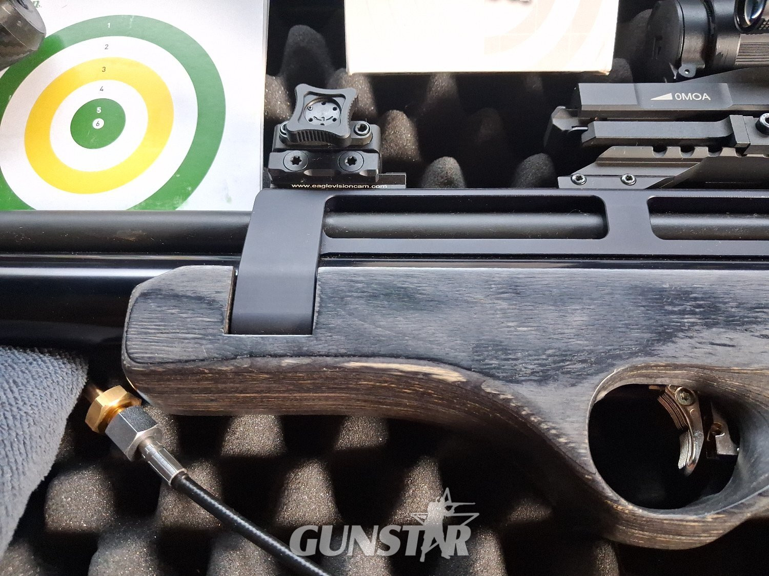 {CATEGORY} - Steyr Steyr Pro x .22 in 