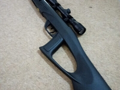 Gamo Delta Fox GT Whisper Delta Fox GT Whisper .177