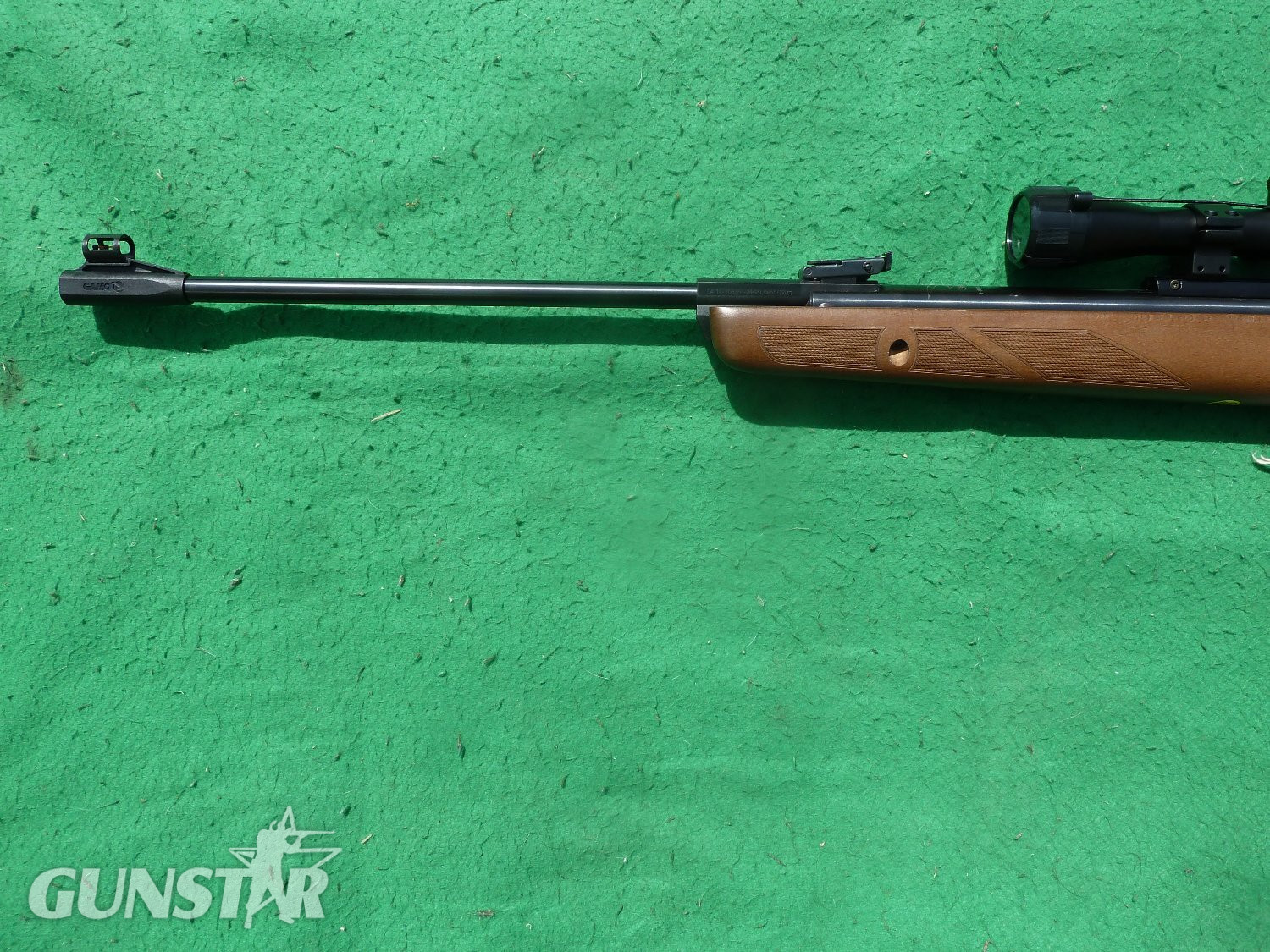 Gamo Hunter 440 .177