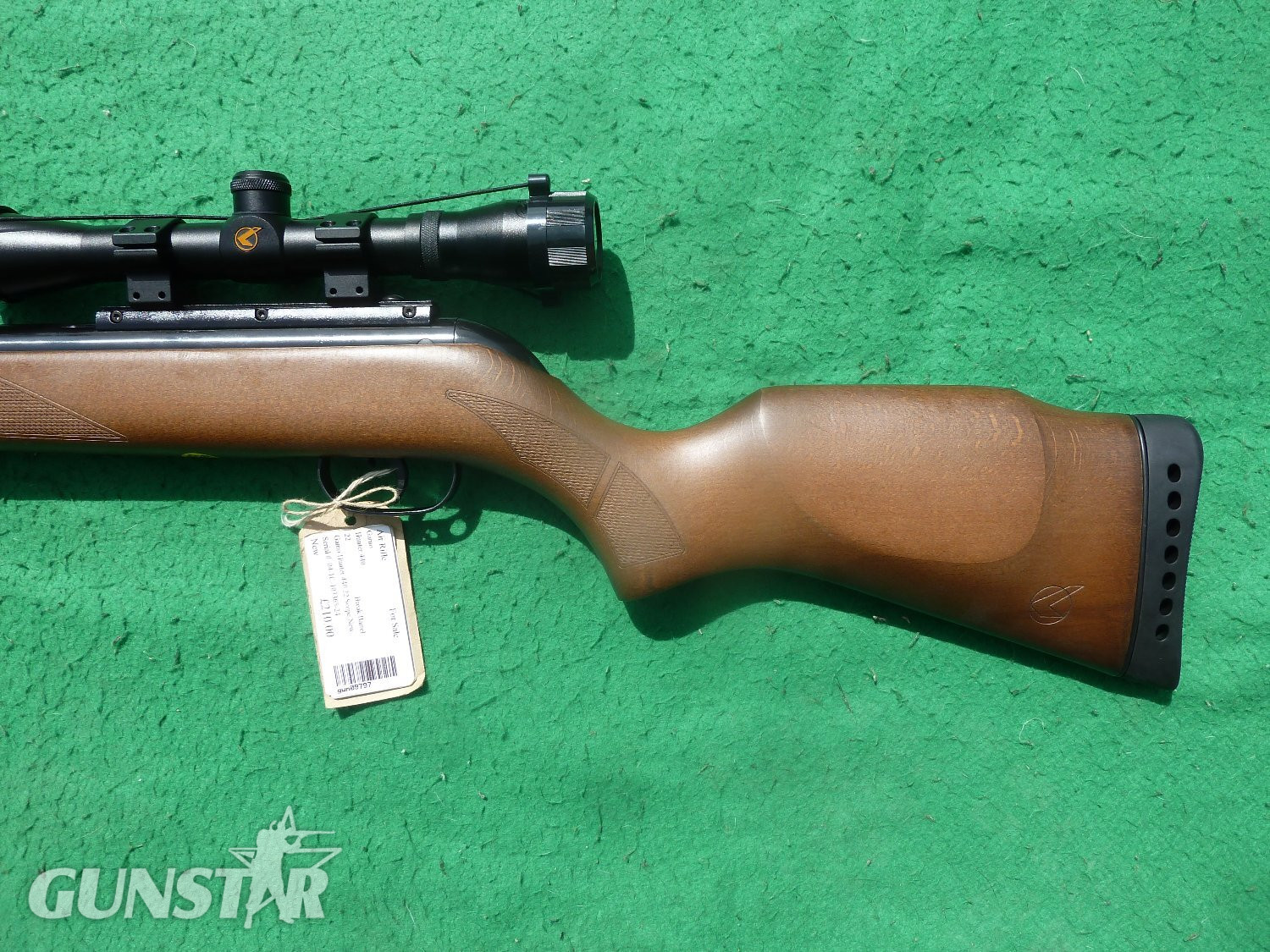  Gamo Hunter 440 .177