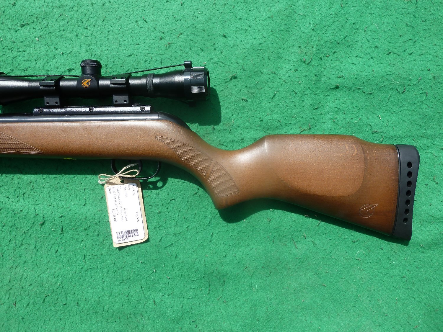  Gamo Hunter 440 .177