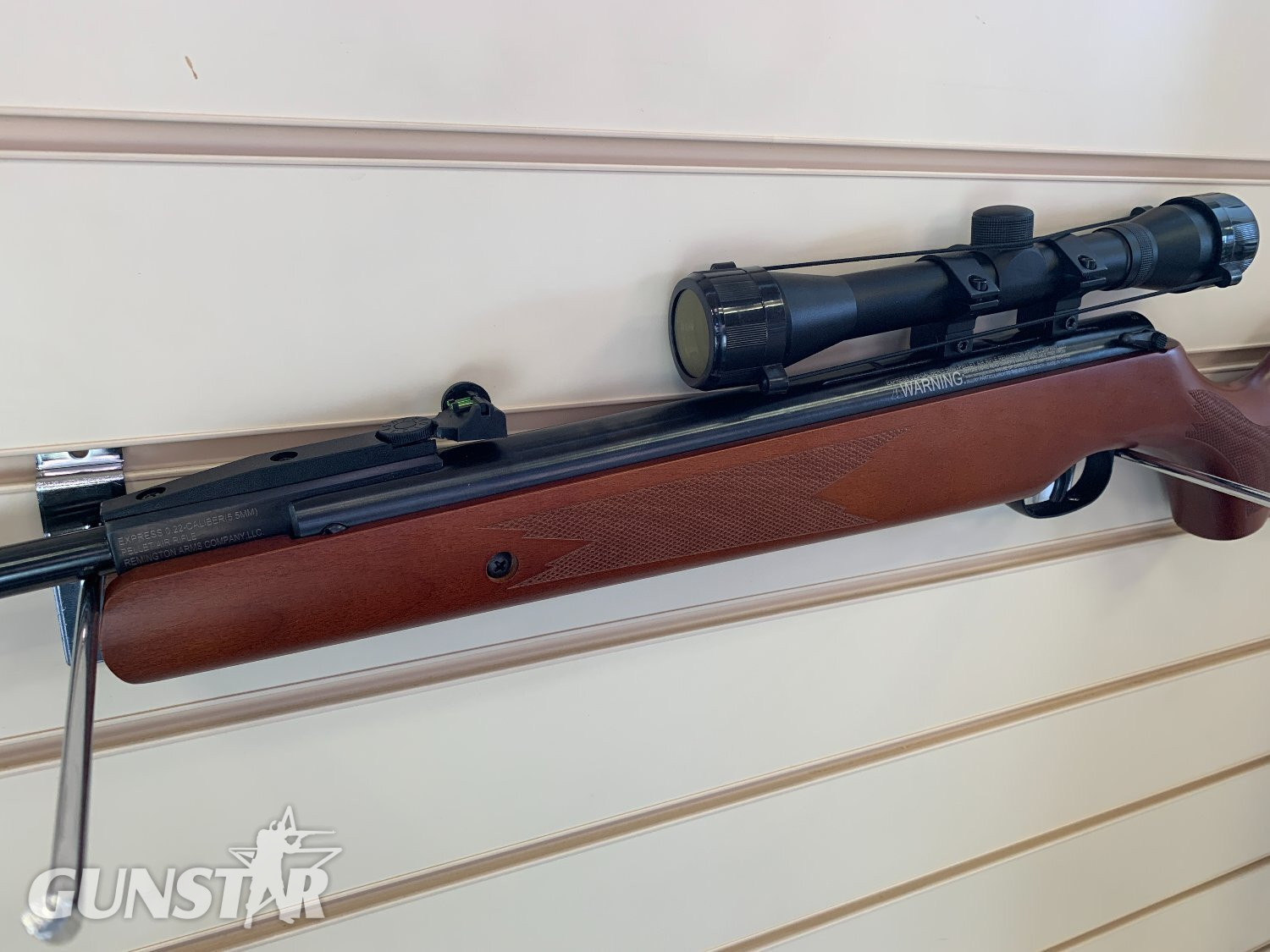  Remington Express .22