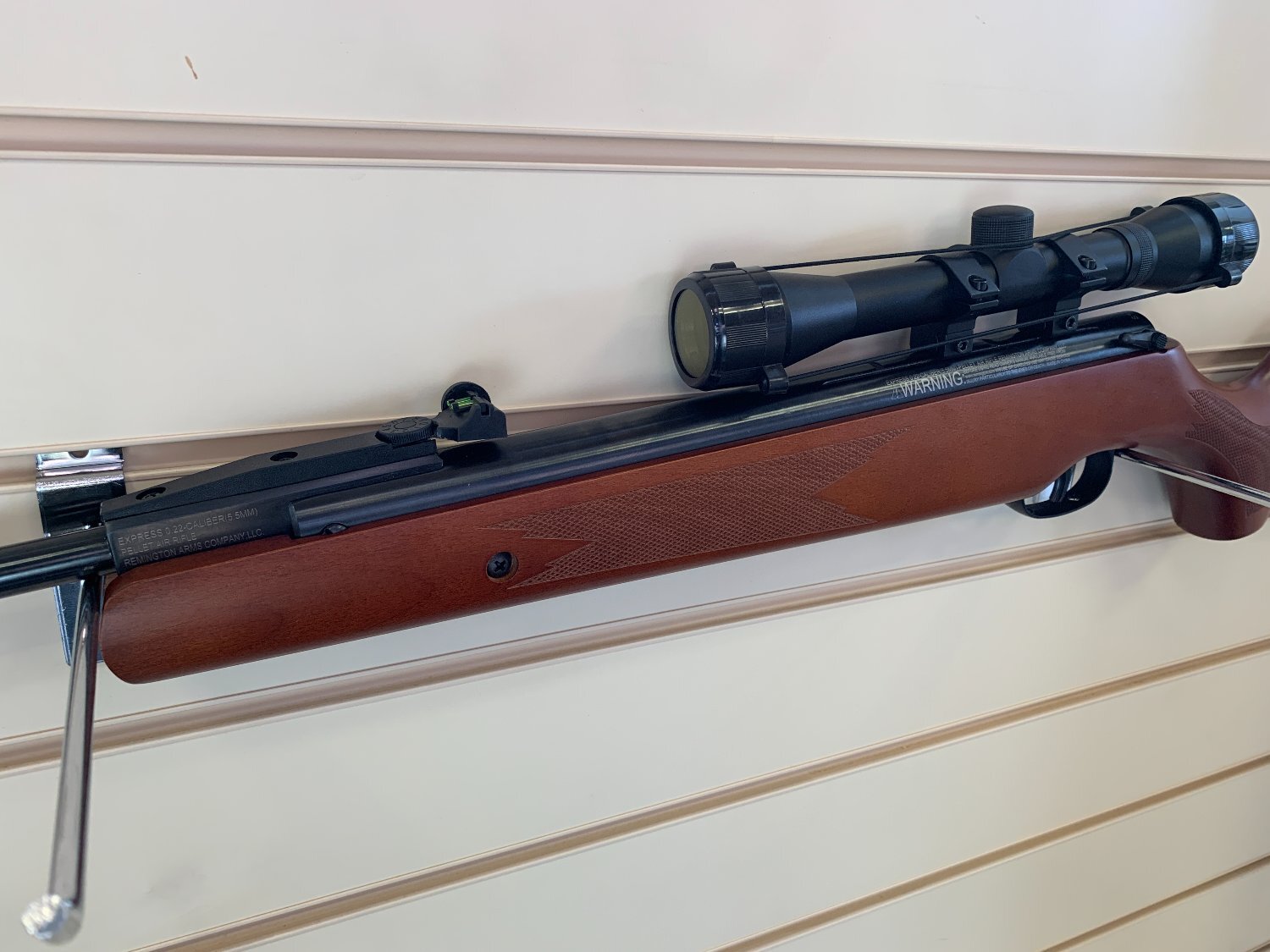  Remington Express .22