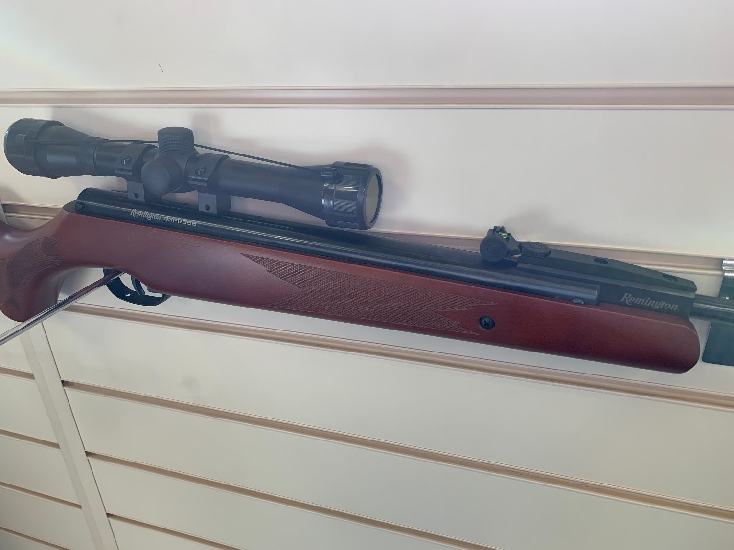 Remington Express .22 