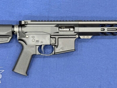 BoreBuddy AR15 Semi-Auto .22 Long Rifle (.22 LR) Rifle