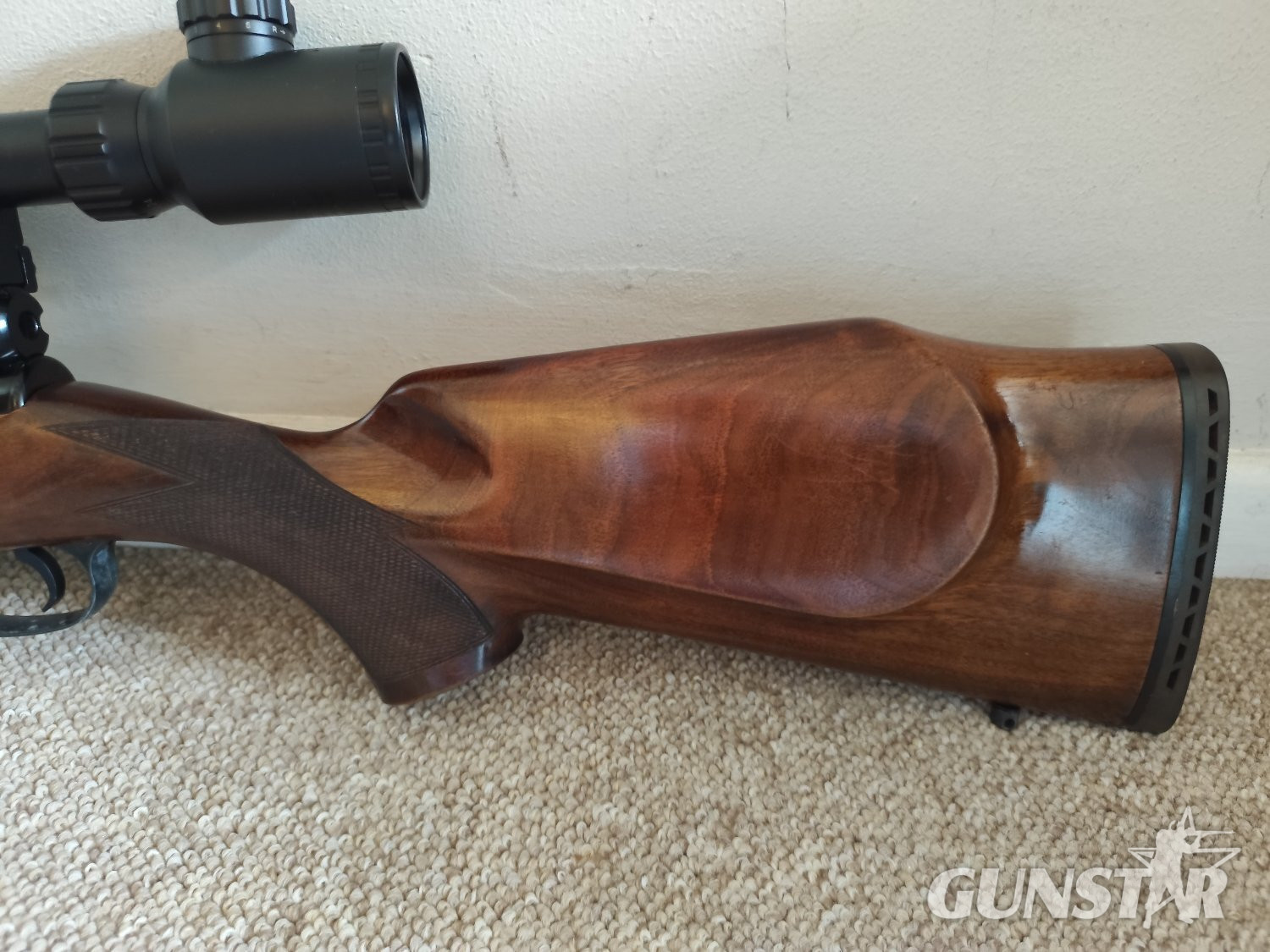  RWS Excalibre .22