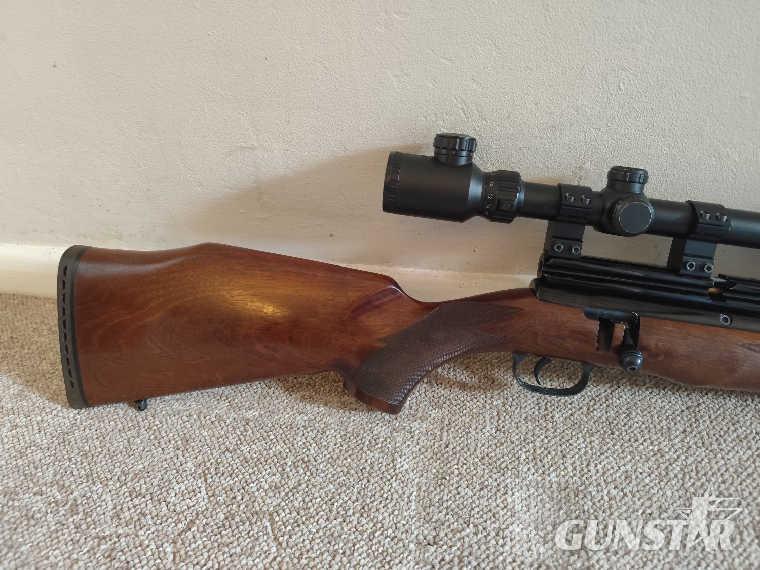 RWS Excalibre .22 