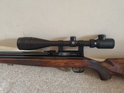 RWS Excalibre .22