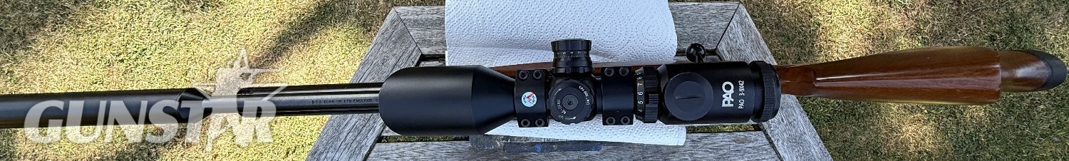  BSA Ultra .22