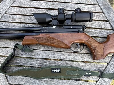 BSA Ultra .22
