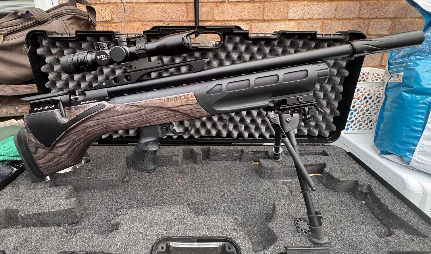 Daystate Pulsar .22
