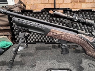 Daystate Pulsar .22
