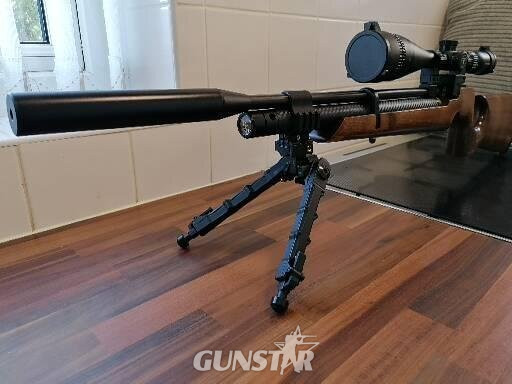Air Arms S200 .22