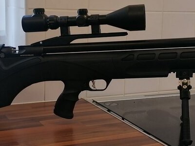 Daystate Pulsar .177