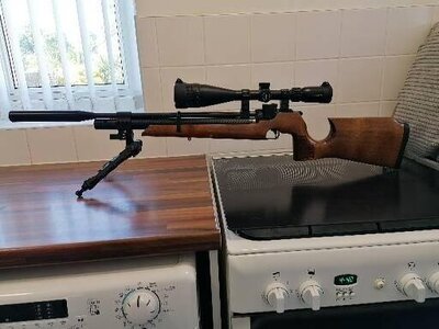 Daystate Pulsar .22