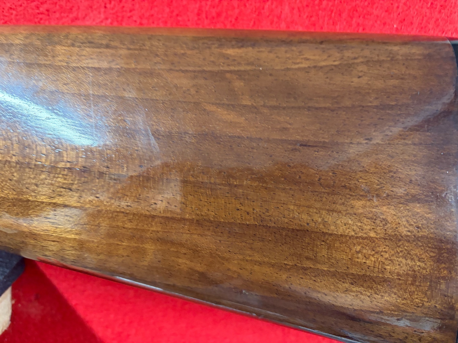 {CATEGORY} - Browning B525 Over and Under 12 Bore/gauge in 
