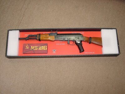Bolt Assault Rifle 6 mm