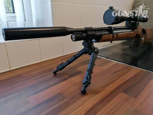 Air Arms S200 .22