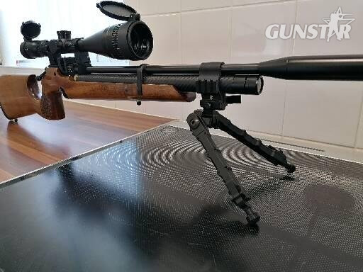  Air Arms S200 .22