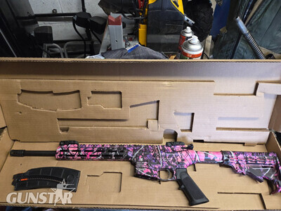 Smith & Wesson M&P Semi-Auto .22 Rifle