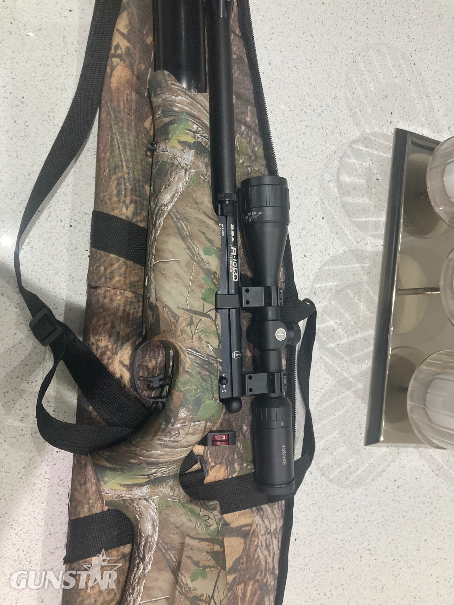 BSA Bsa r10 se regulated .22 in 