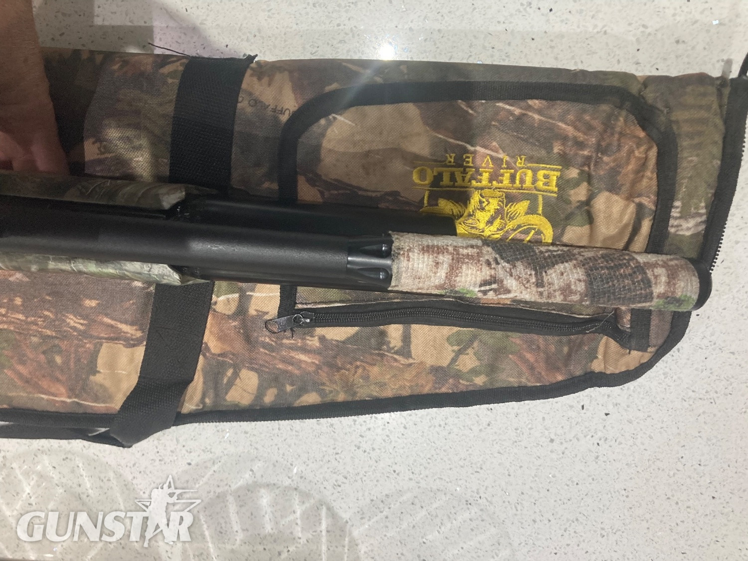  BSA Bsa r10 se regulated .22
