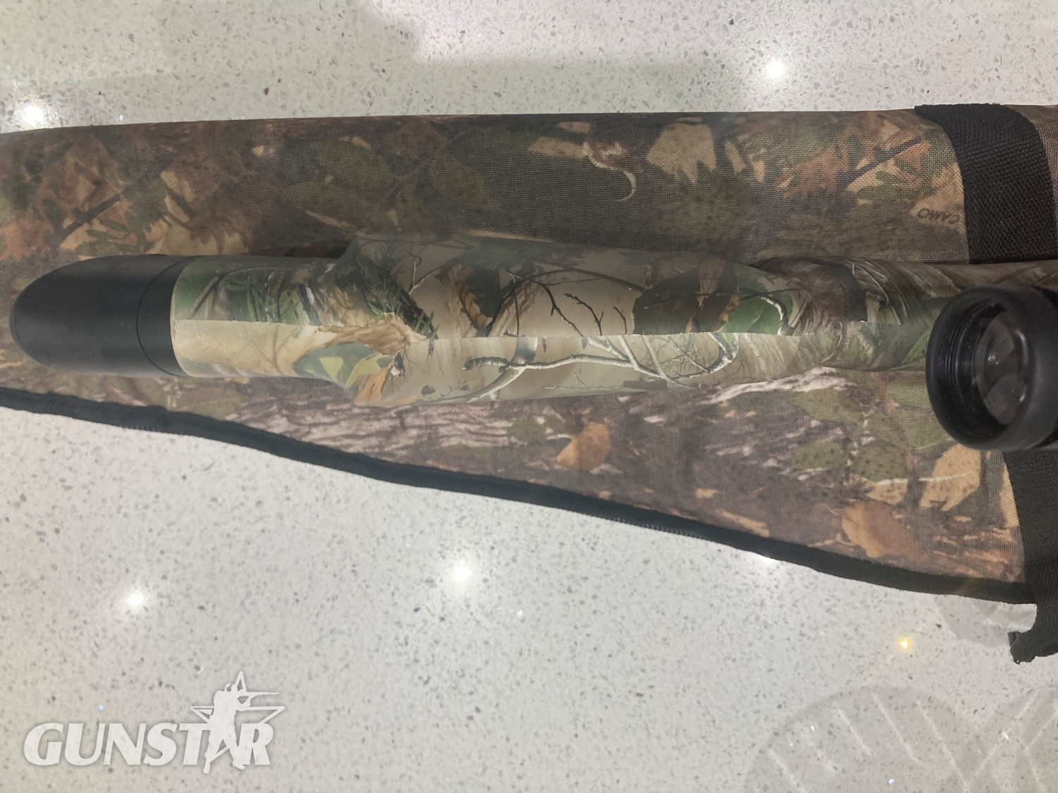 BSA Bsa r10 se regulated .22 