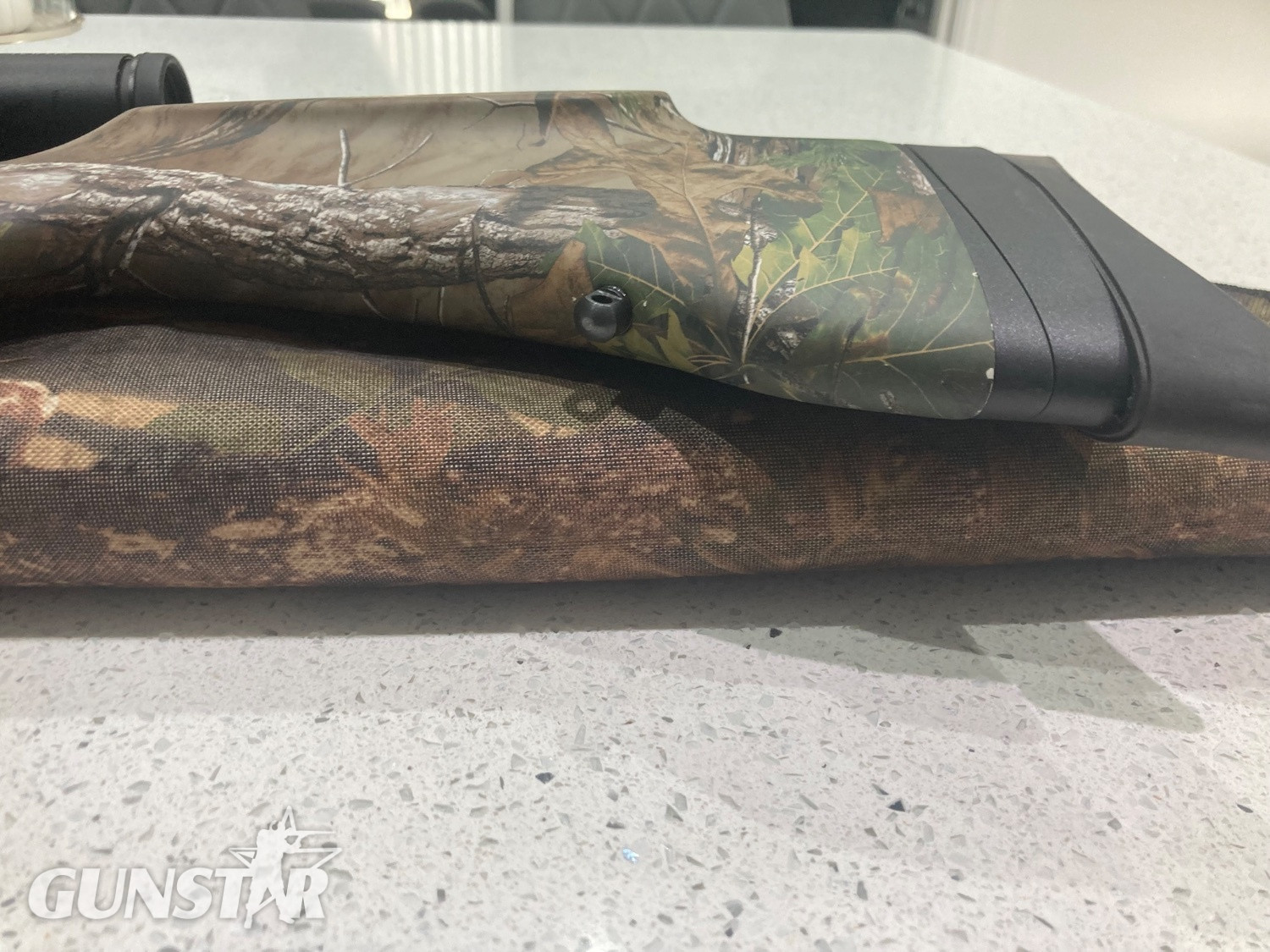 {CATEGORY} - BSA Bsa r10 se regulated .22 in 